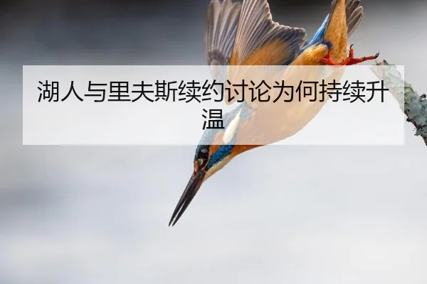 湖人与里夫斯续约讨论为何持续升温
